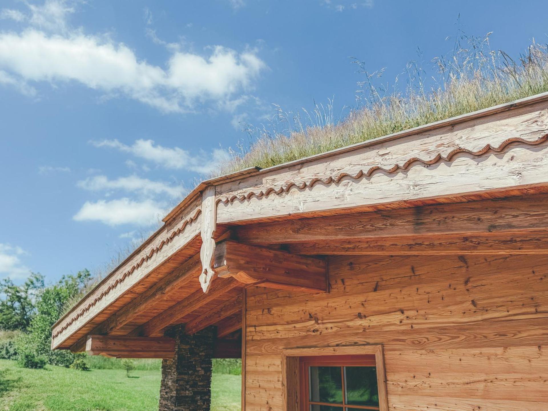 Chalets Resort Cínovec Exterior foto